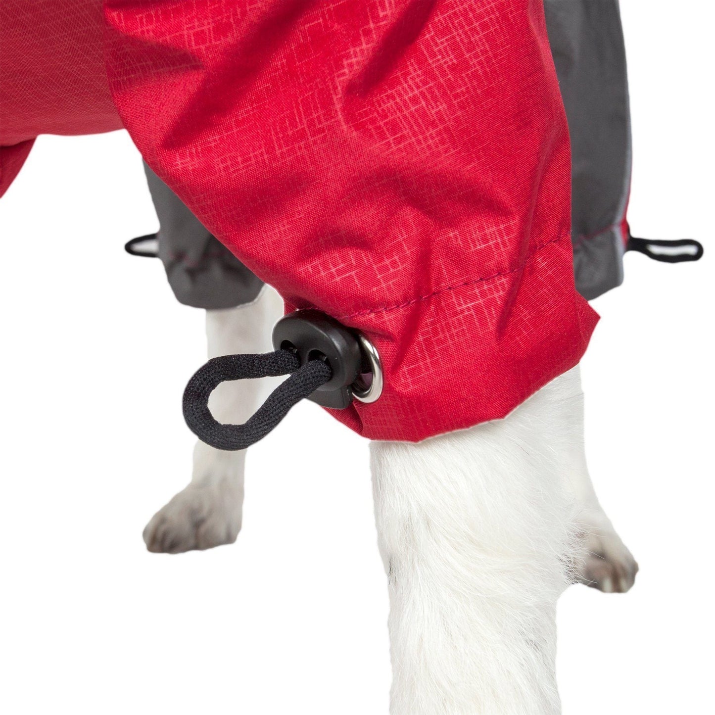 Red raincoat on a dog with a white background