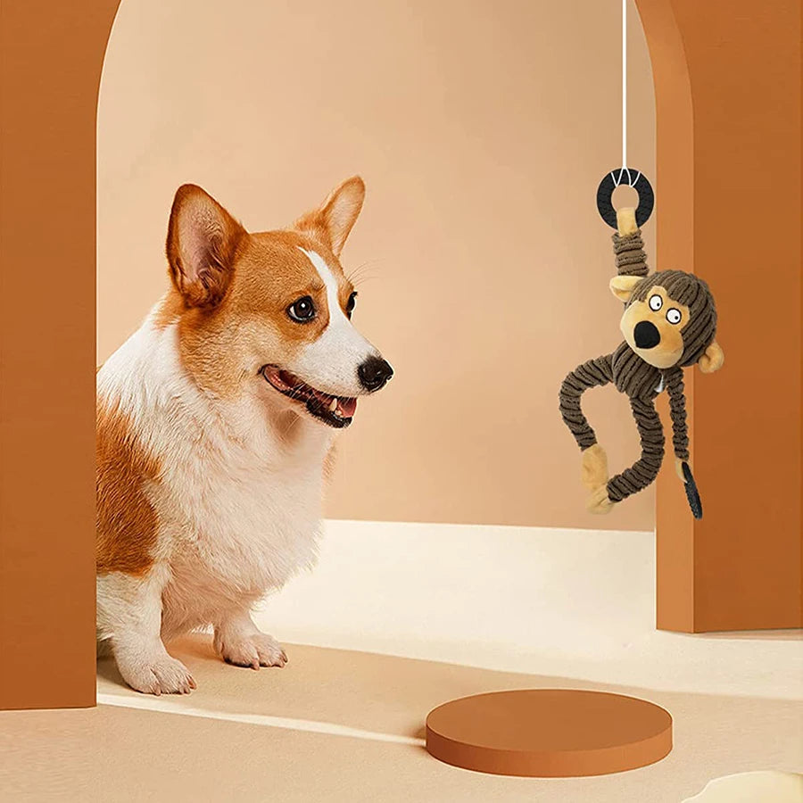 Squeaky Plush Puppy Toys - Dog looking at a Hanging Monkey Toy against a Beige Background.