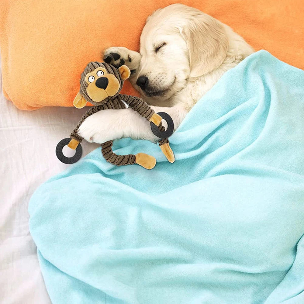 Squeaky Plush Puppy Toys - Dog Sleeping with a Lion Toy wrapped in a Blue Blanket on an Orange Pillow.