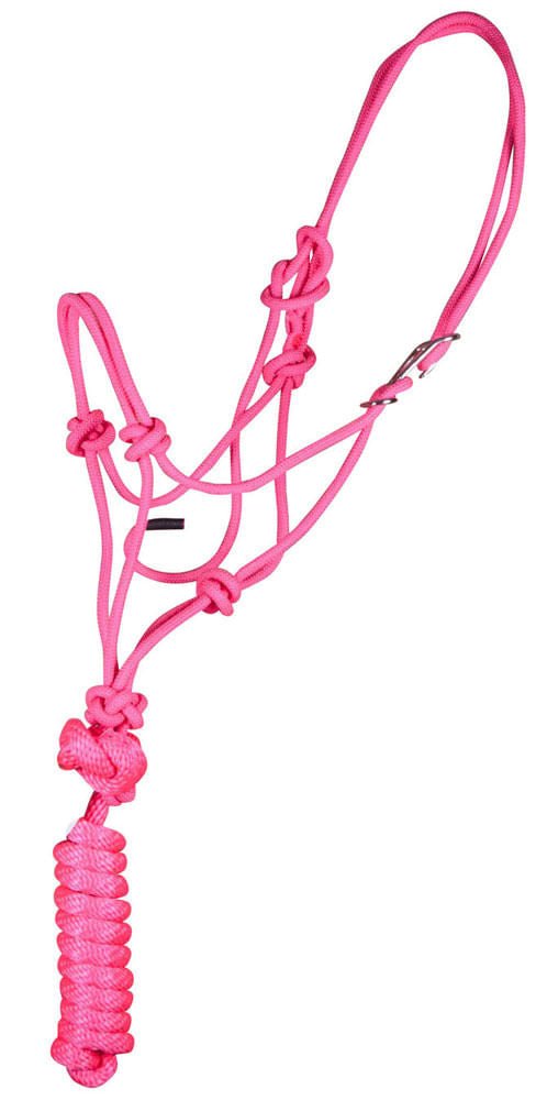 Pink horse bridle with rope halter on a white background