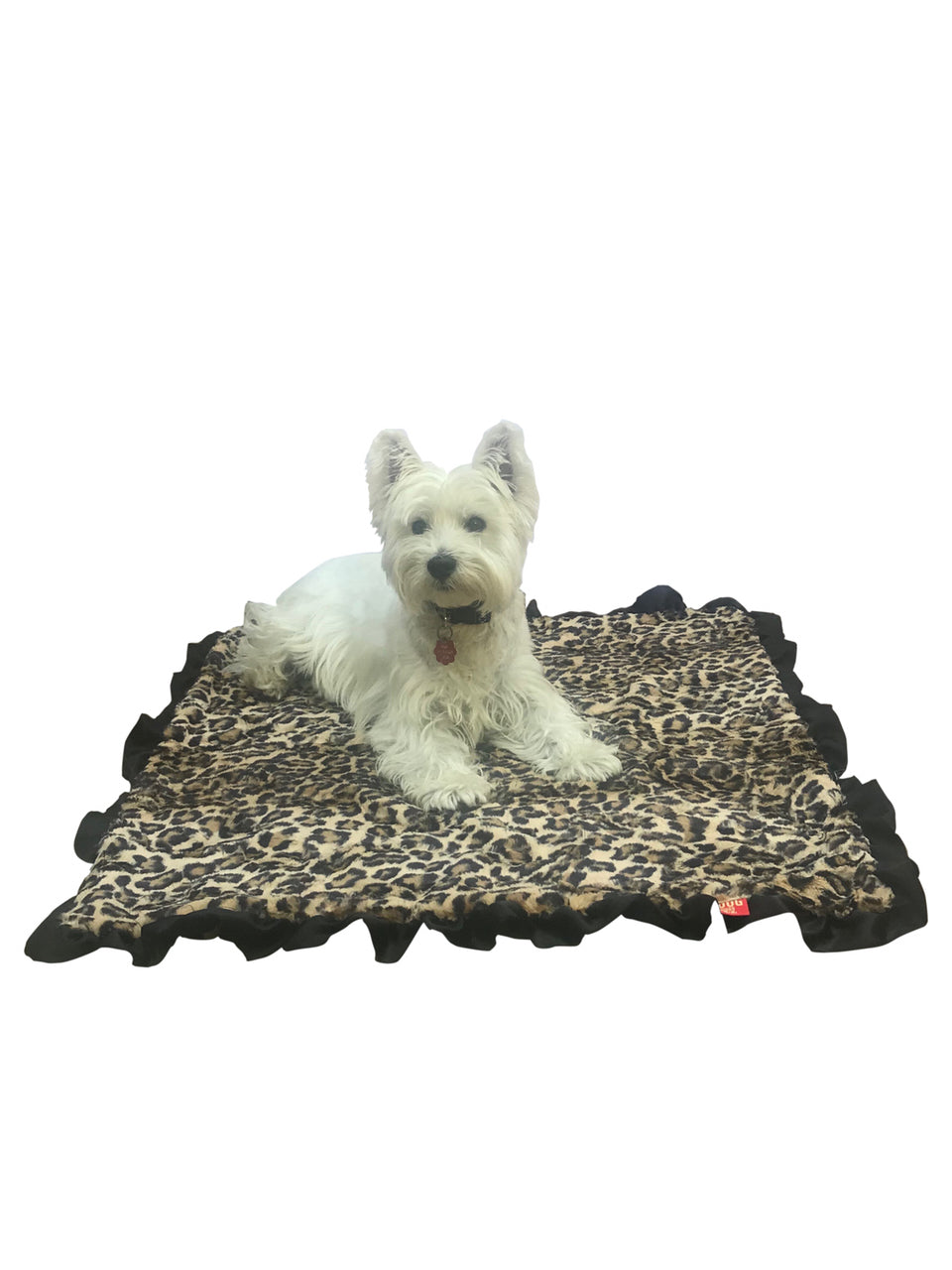 Small white dog sitting on a leopard print pet mat with black trim on a white background