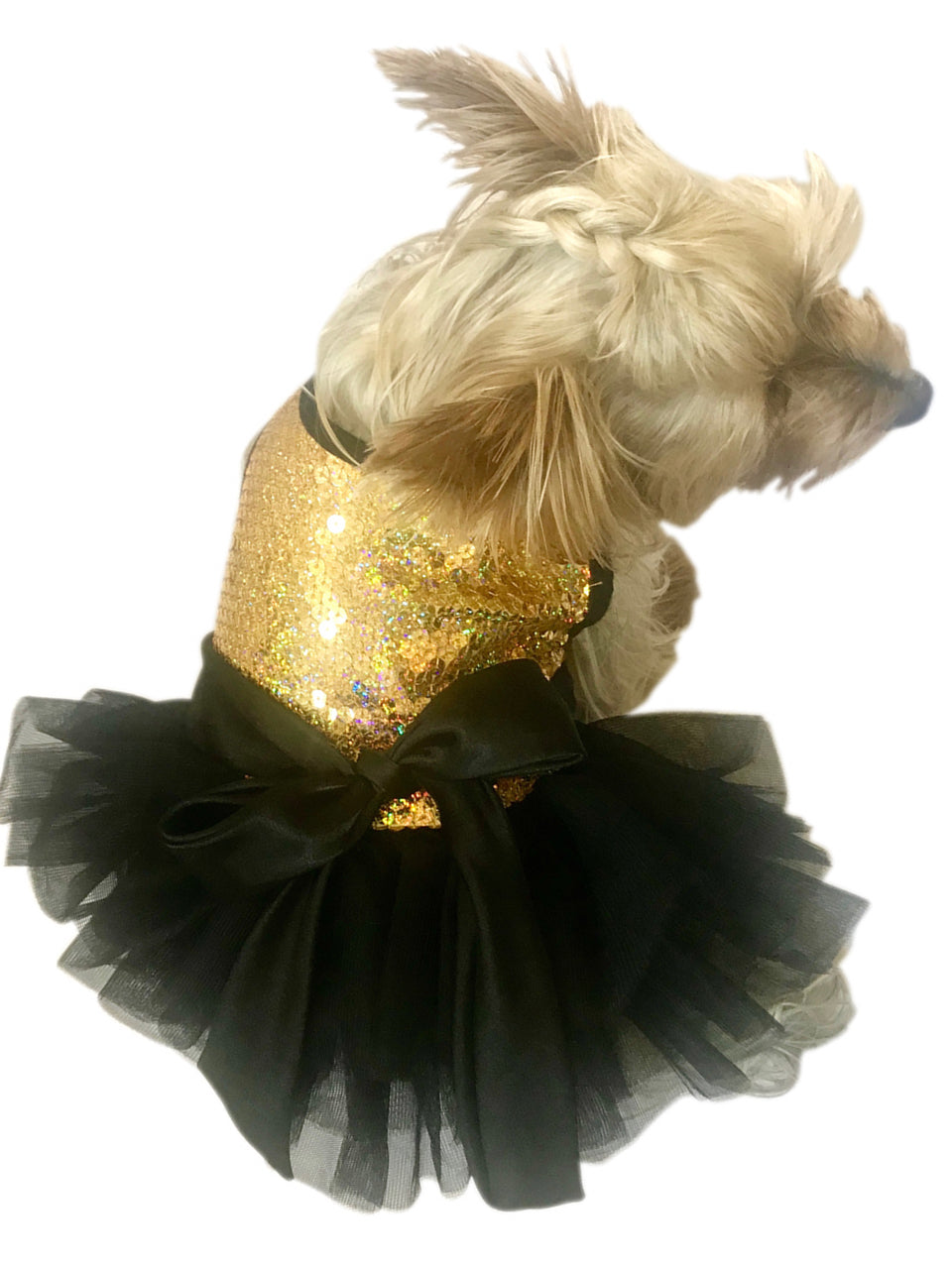 Dog wearing a gold sequin top and black tutu on a white background