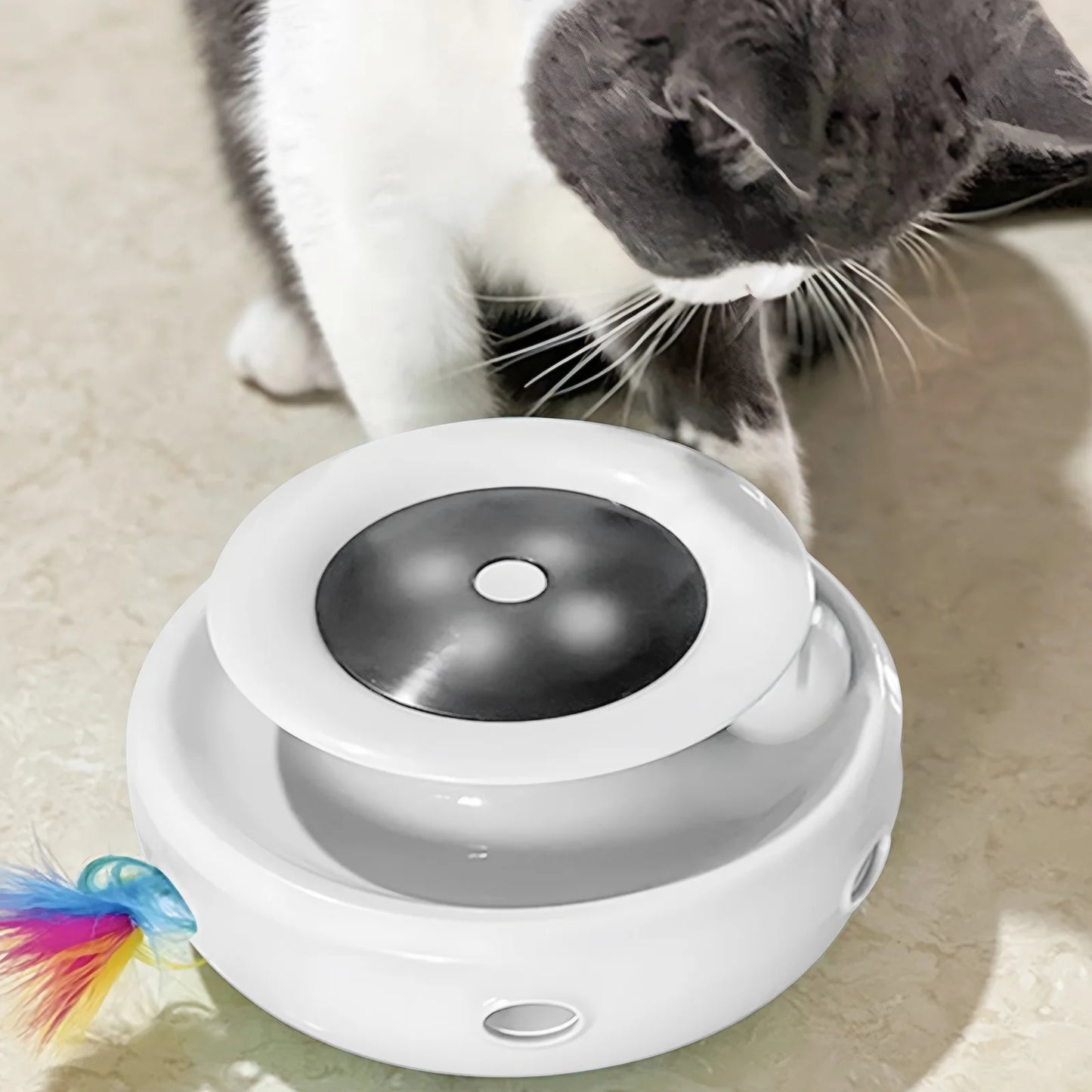 Cat playing with a Spinning Toy on a light-colored floor.