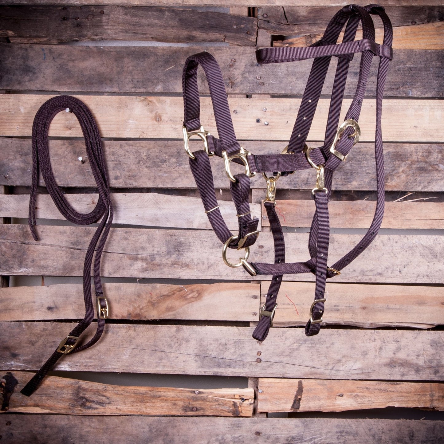 Horse bridle and reins on a wooden background