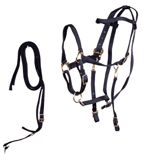 Navy blue horse bridle with gold hardware on a white background