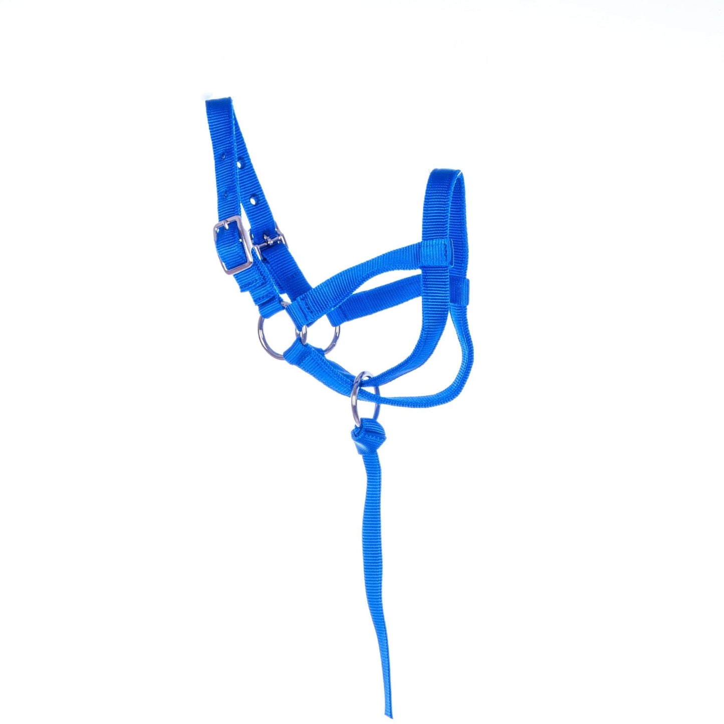 Blue horse halter with a lead rope on a white background