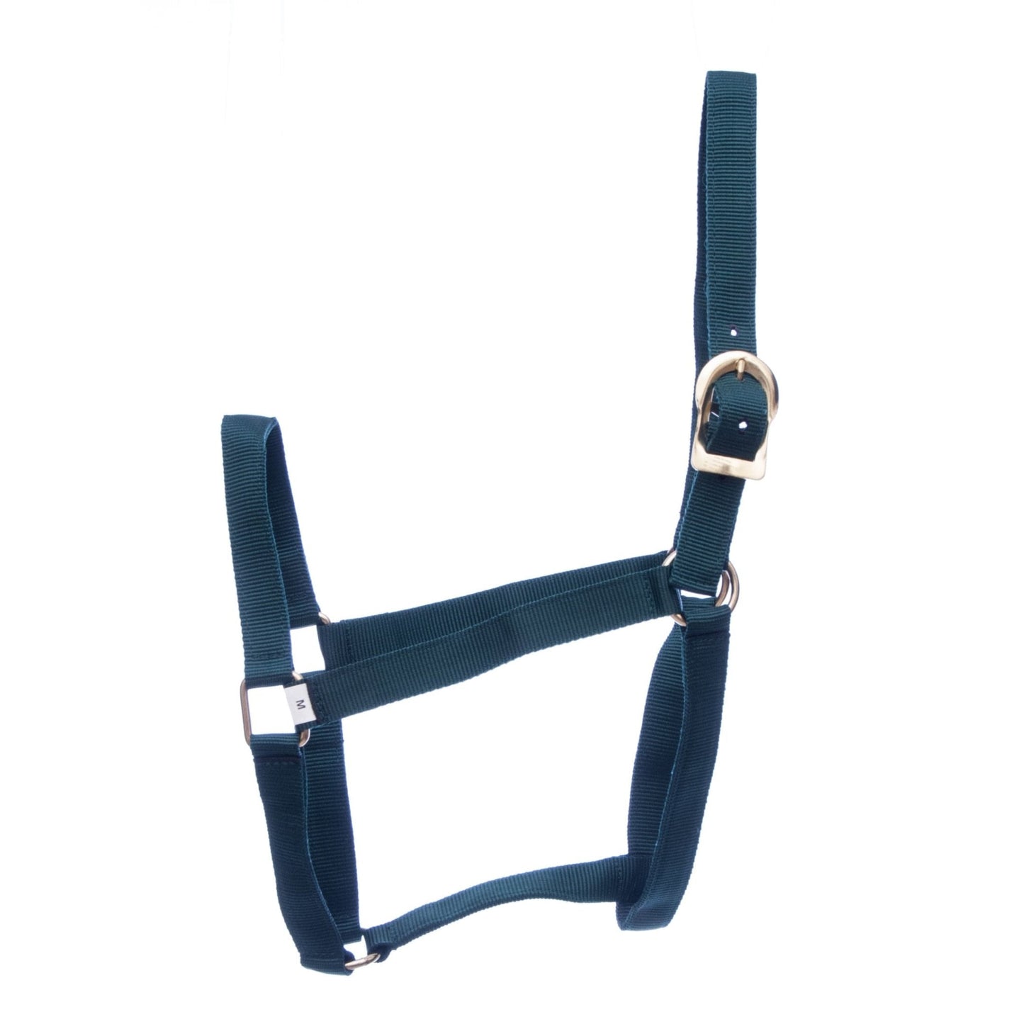 Navy blue horse halter with a gold buckle on a white background