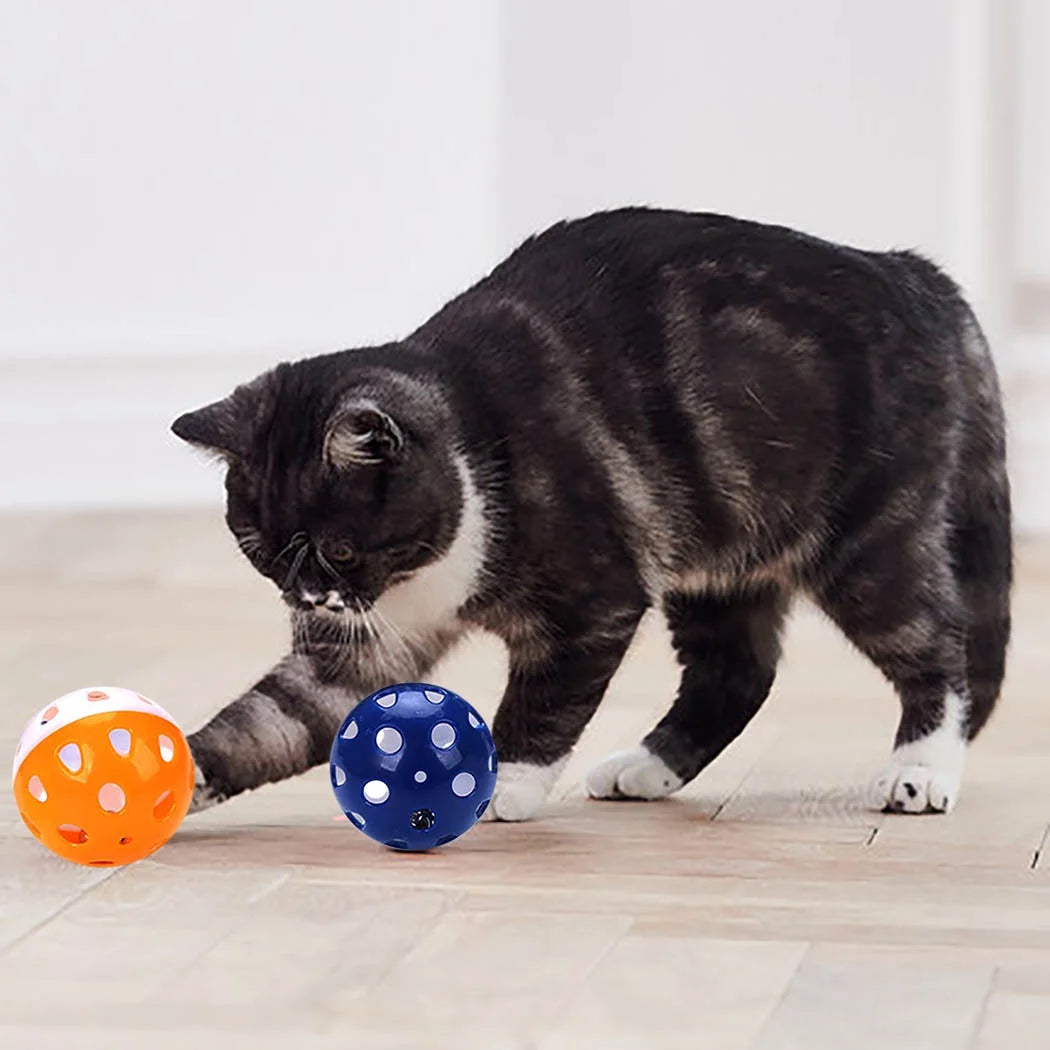 Cat playing with two Colorful Balls on a wooden floor.