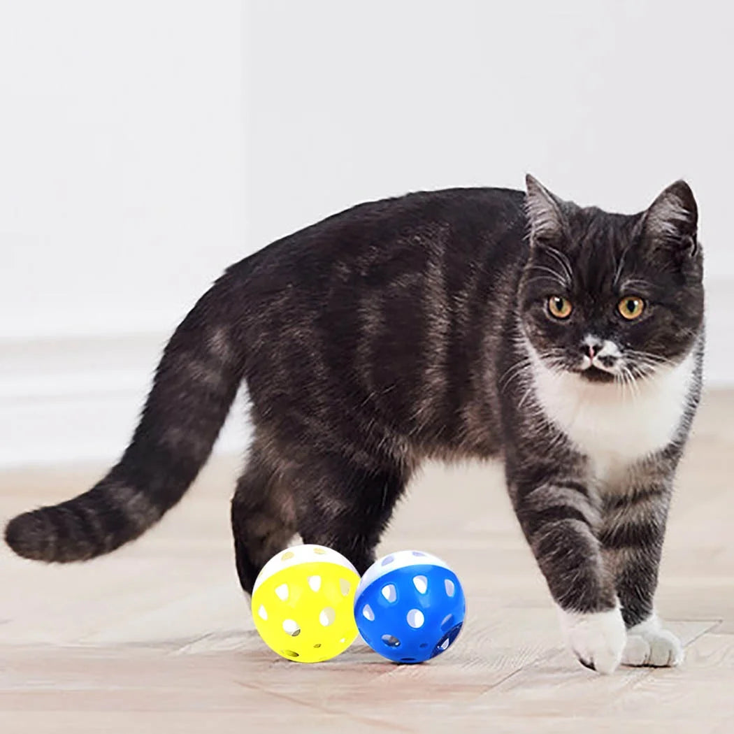 Cat playing with two colorful Polka Dot Balls on a light wooden floor.