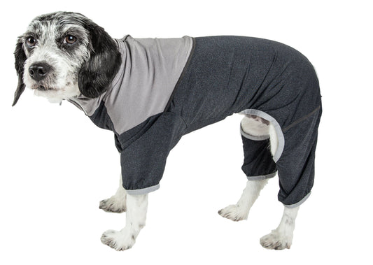Dog wearing a gray and black outfit on a white background