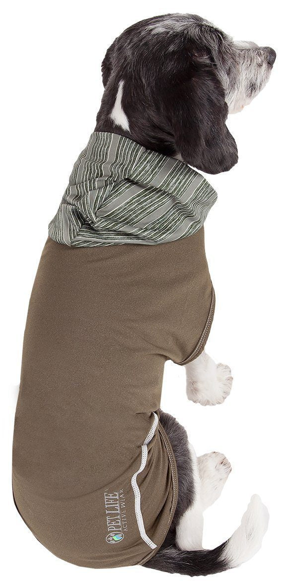 Dog wearing a brown coat with a hood on a white background