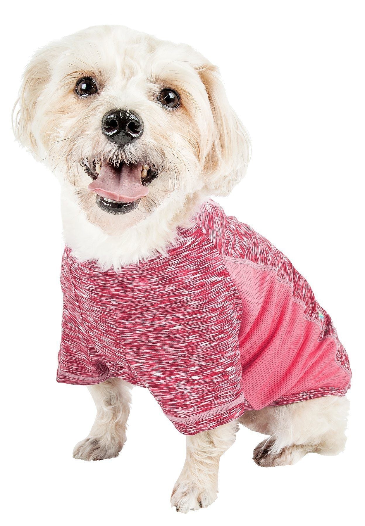 Dog wearing a pink and white marbled sweater on a white background