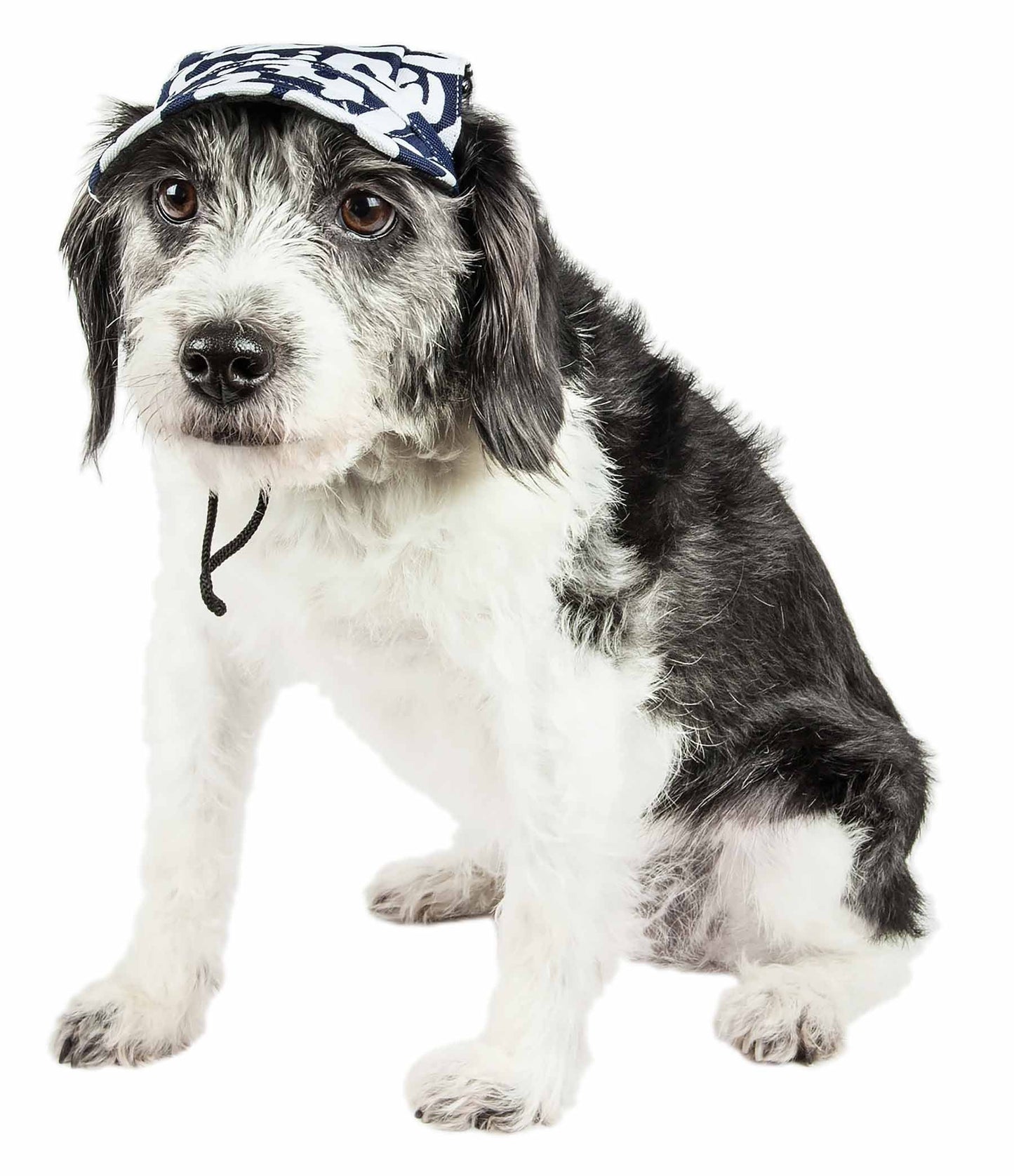 Dog wearing a bandana on a white background