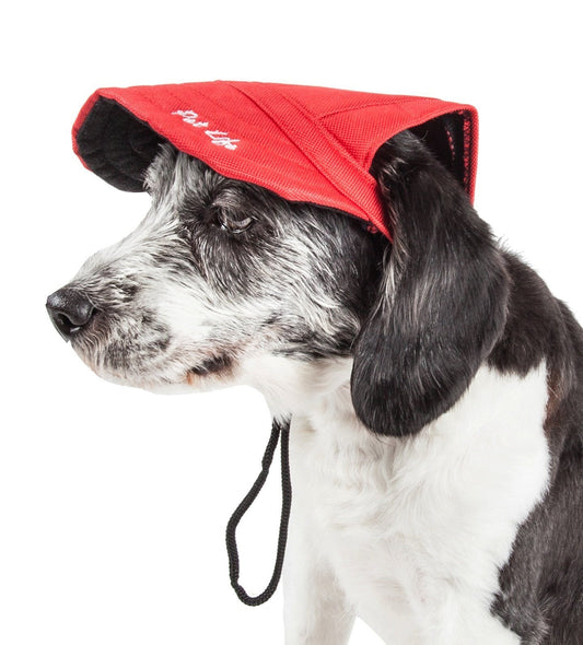 Dog wearing a red cap with a white logo on a white background