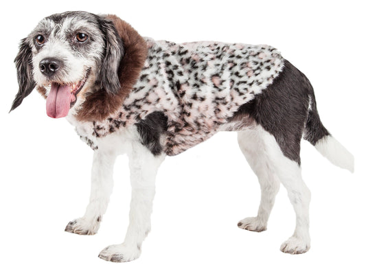 Dog wearing a spotted sweater on a white background