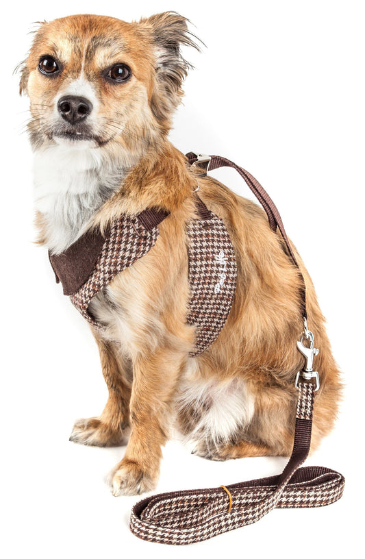 Dog wearing a houndstooth pattern harness and leash on a white background