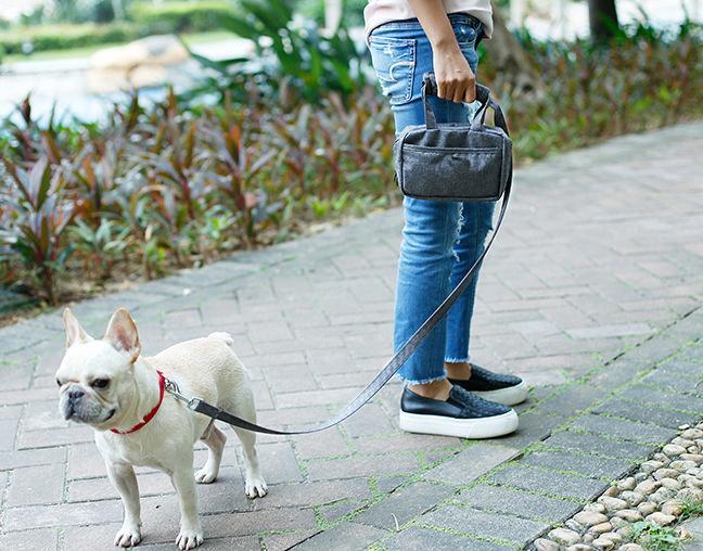 Person walking a dog on a leash with a black bag in an outdoor setting