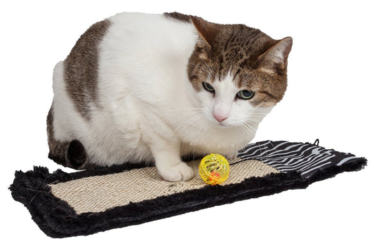 Cat playing with a ball on a cat mat with a white background