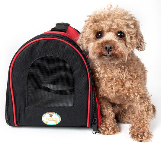 Small dog standing next to a black and red pet carrier on a white background