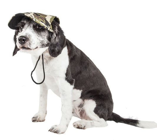 Dog wearing a camouflage cap on a white background