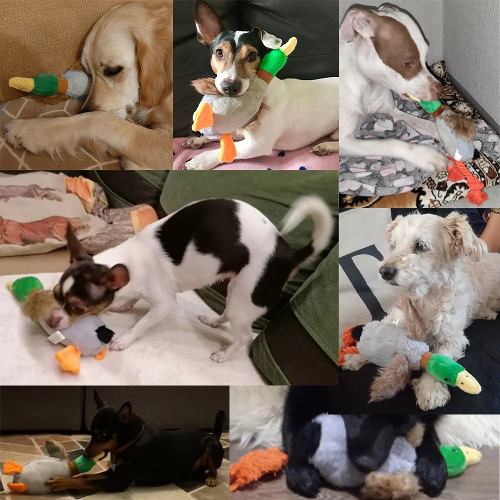 Plush toy duck with green head and gray body