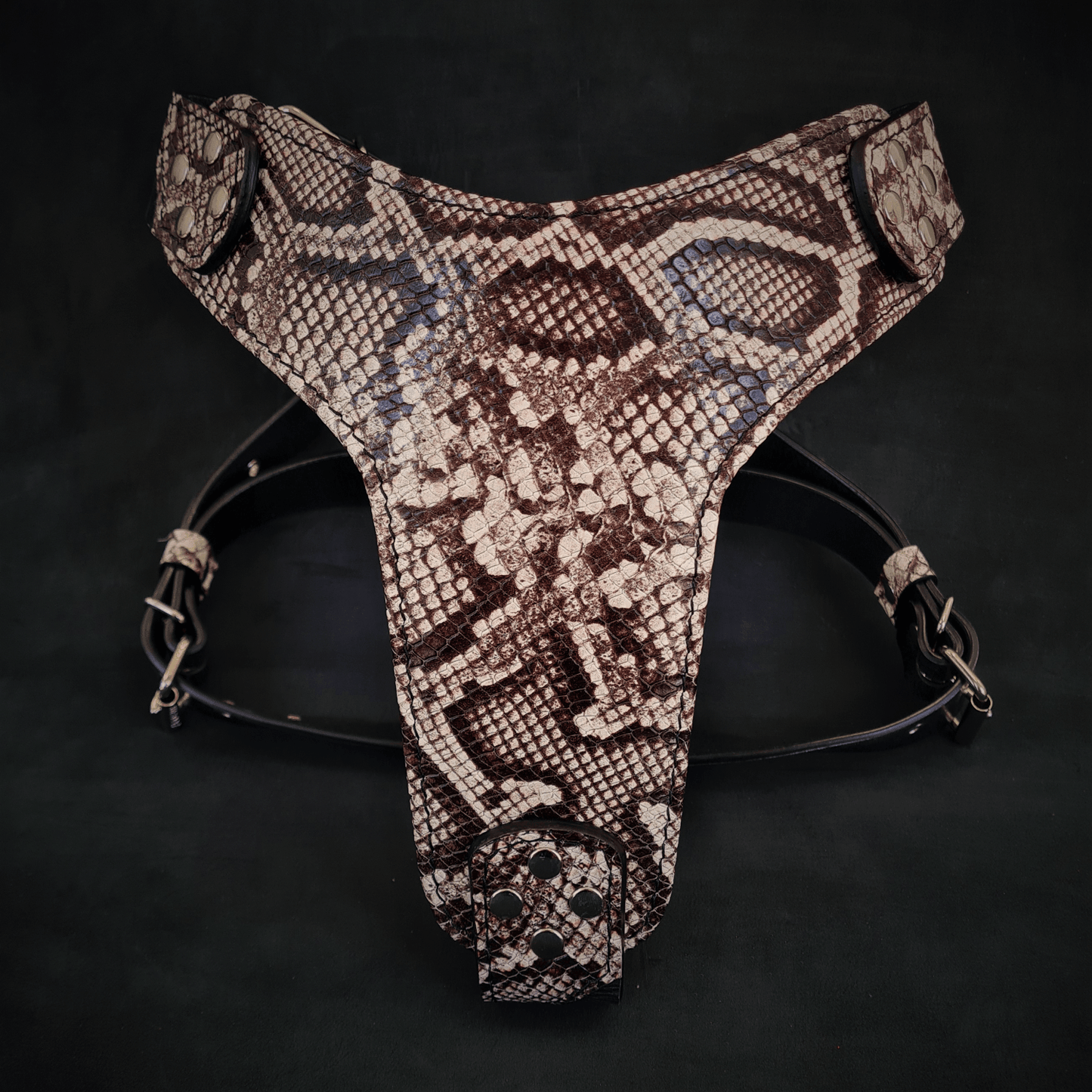 Snake patterned leather thong on a dark background