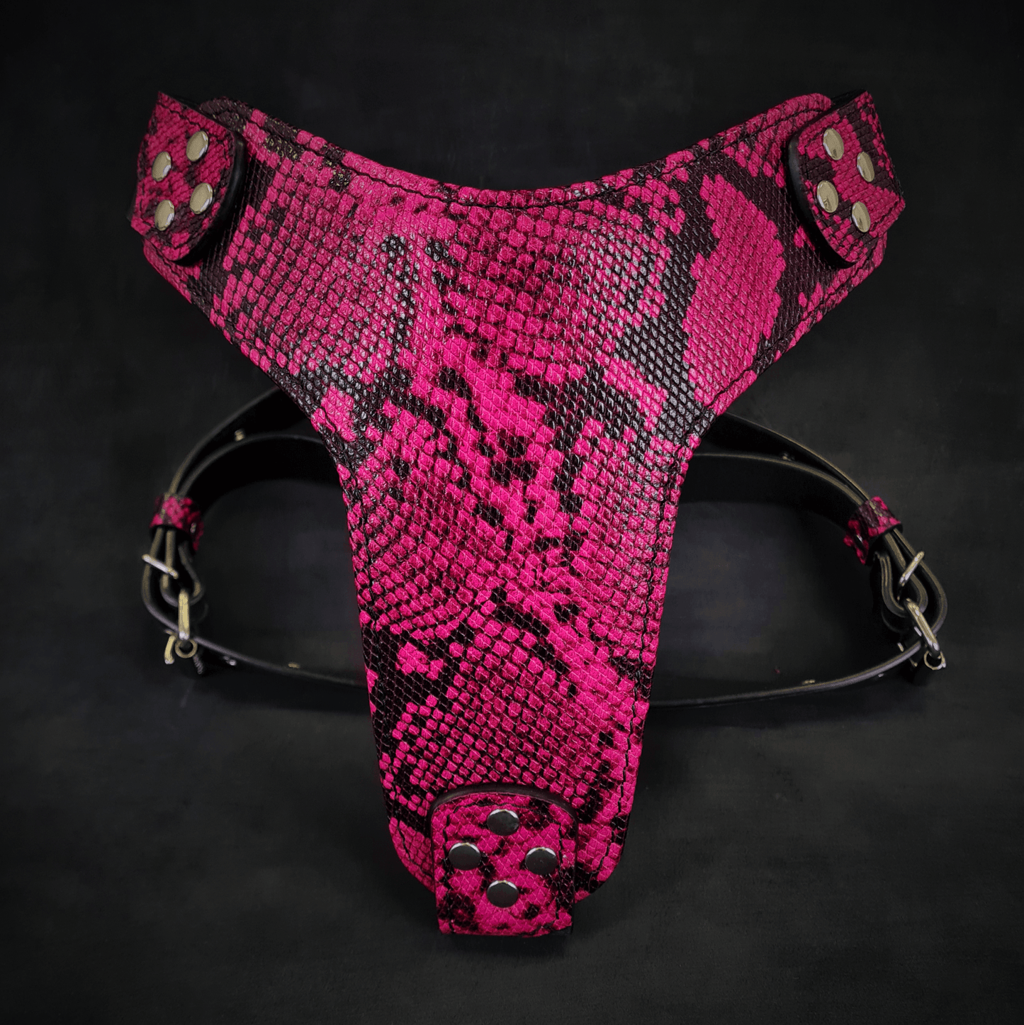 Pink and black patterned harness on a black background