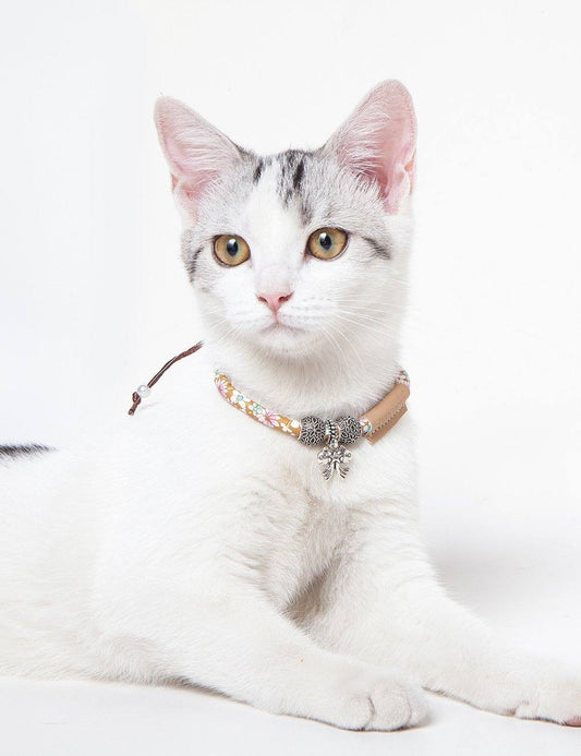 White cat with a decorative collar on a white background