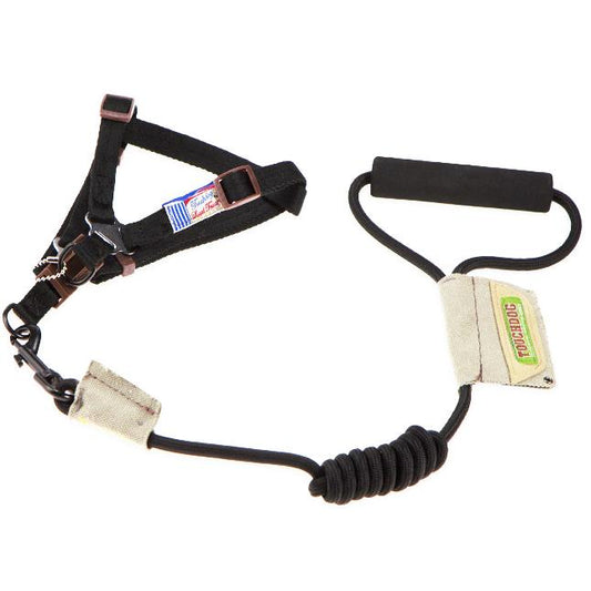 Dog harness with leash on a white background