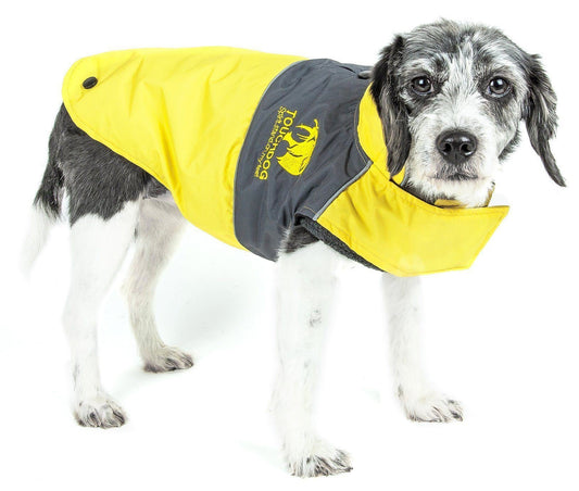 Dog wearing a yellow and gray coat with a visible brand logo on a white background