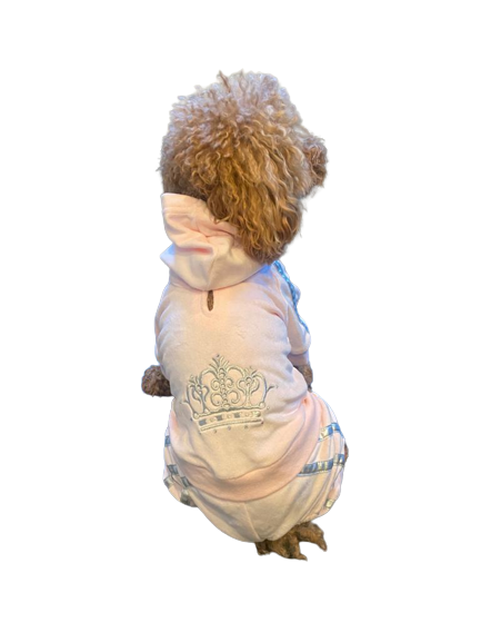 Dog wearing a light-colored outfit with a crown design on a white background