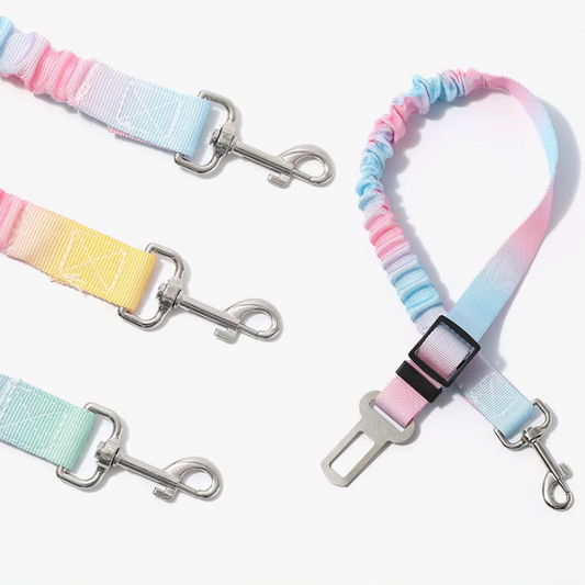 Set of colorful dog leashes with metal clasps on a white background