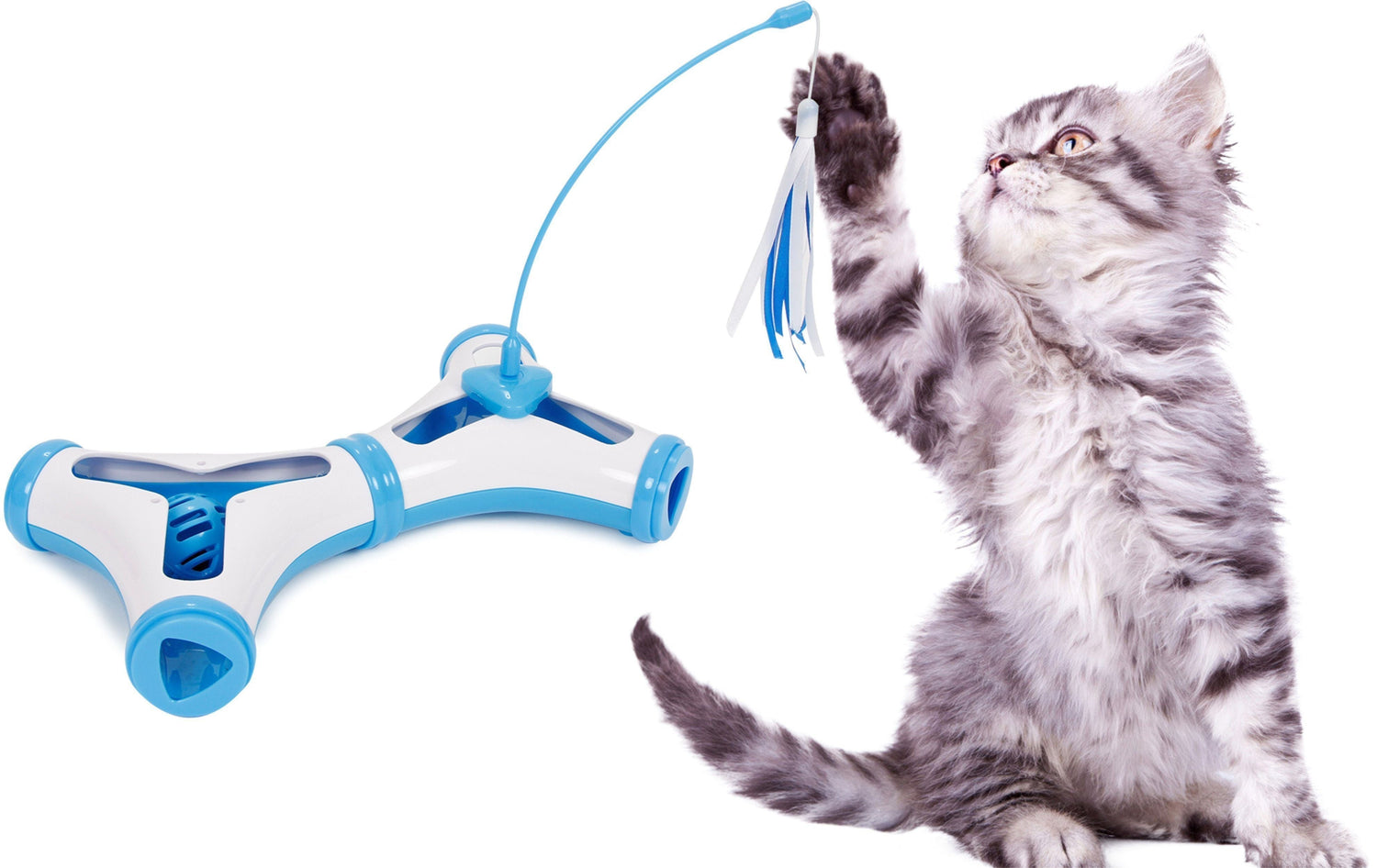 Tabby cat amusing herself by playing with a feathered interactive toy on a white background