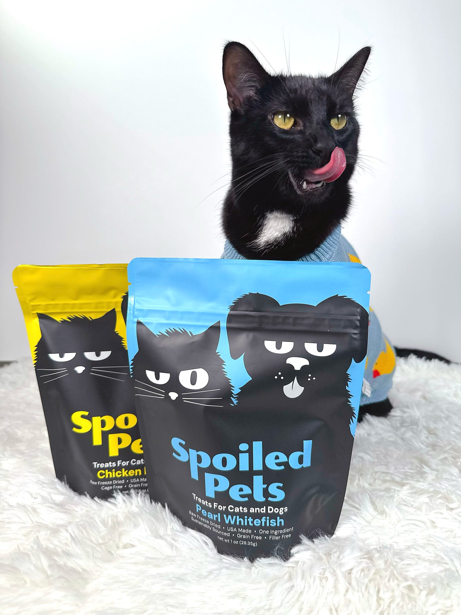 Black cat with two packages of 'Spoiled Pets' treats on a white background