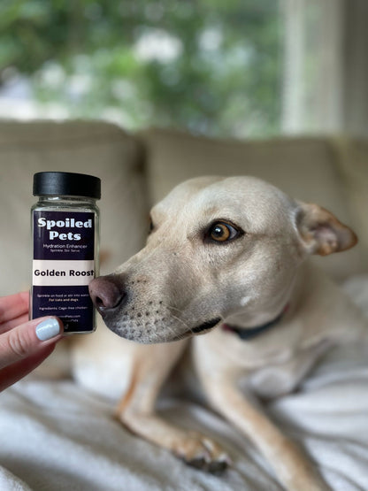 Dog looking at a 'Spoiled Pets' product held by a person