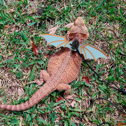 Lizard with dragon wings on a grassy background