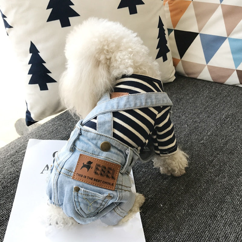 Small dog wearing a striped shirt and denim overalls sitting on a couch.