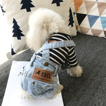 Small dog wearing a striped shirt and denim overalls sitting on a couch.