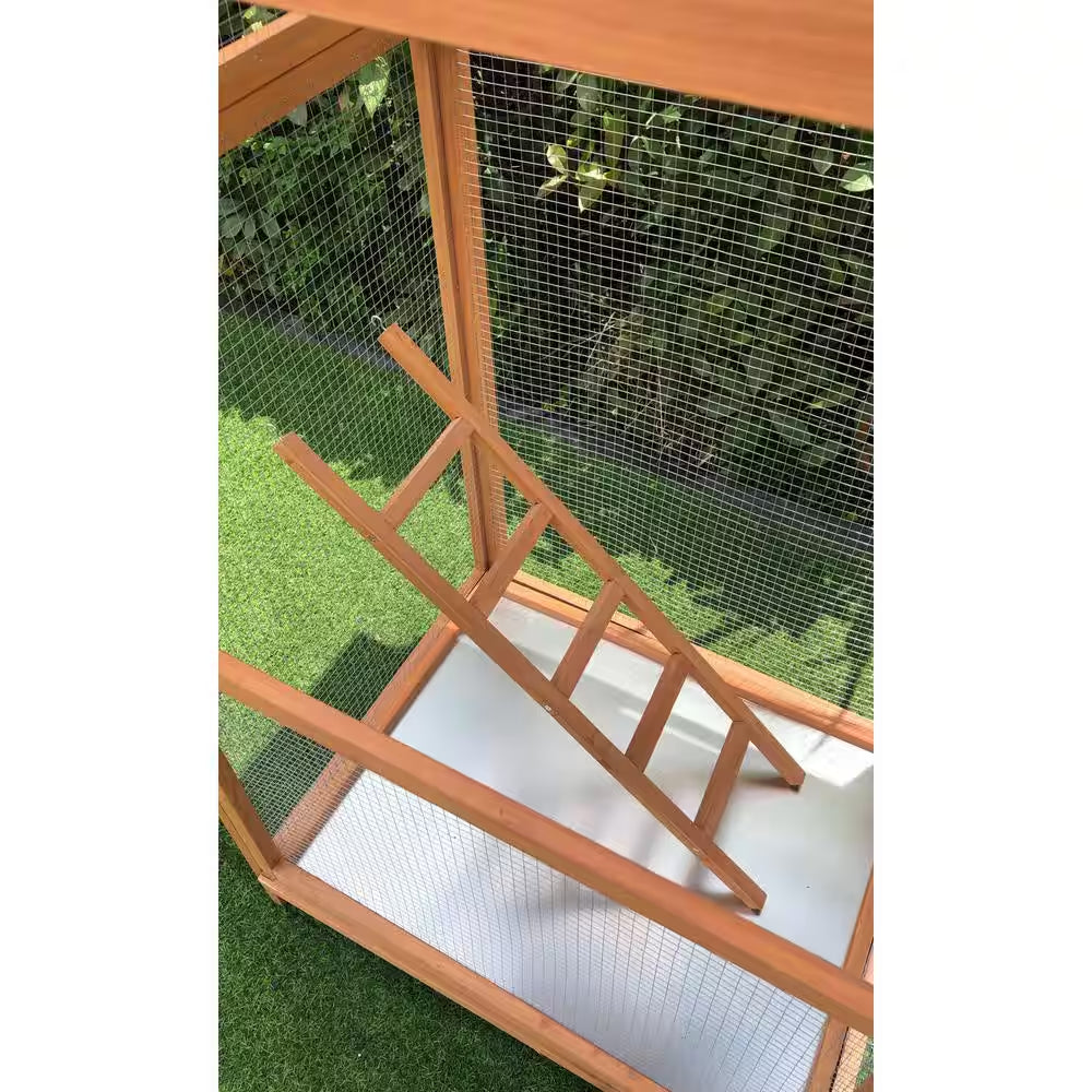 Wooden chicken coop with a ladder on a grassy background