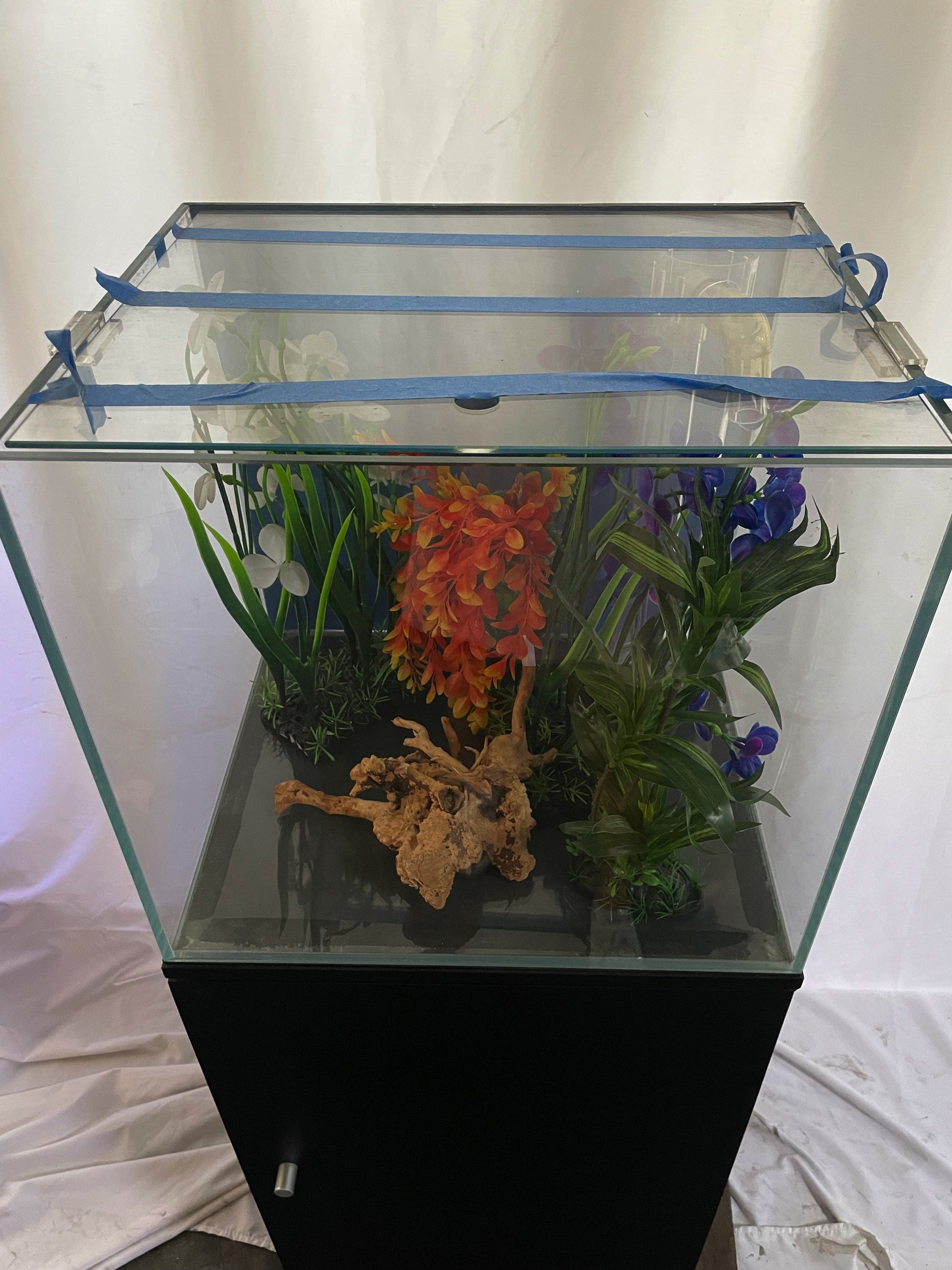 ULTRA CLEAR GLASS - 18 gallon cube fish tank aquarium full setup 