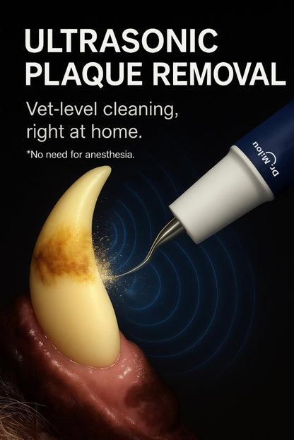 Ultrasonic plaque removal device being used on a tooth with text about vet-level cleaning at home.
