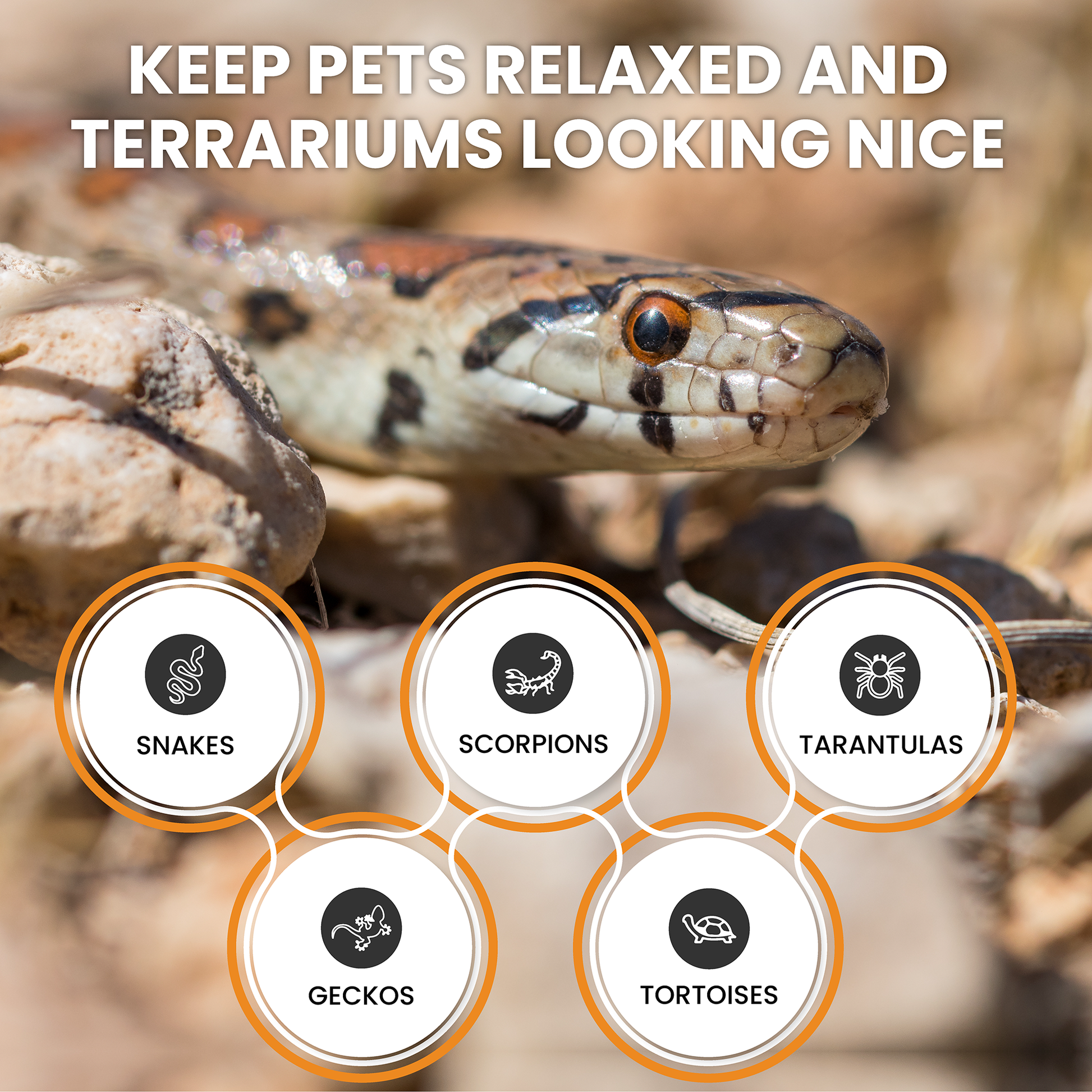 ReptiEarth Fine Coconut Fiber Mix