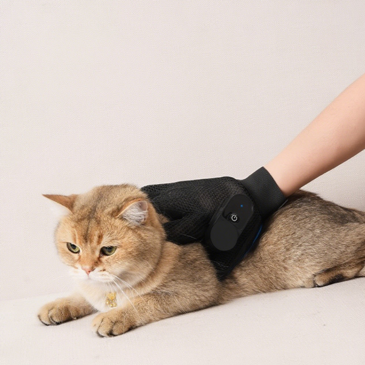 Cat wearing a black electronic device on its back, held by a person.