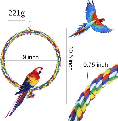 Colorful parrot toy with measurements and a parrot on a white background