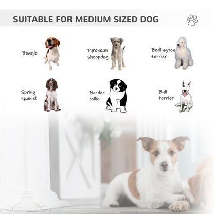 Illustrations of various medium-sized dog breeds with a real-life example of a Jack Russell Terrier.
