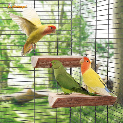 Two birds perched on a wooden perch inside a birdcage with a blurred green outdoor background.
