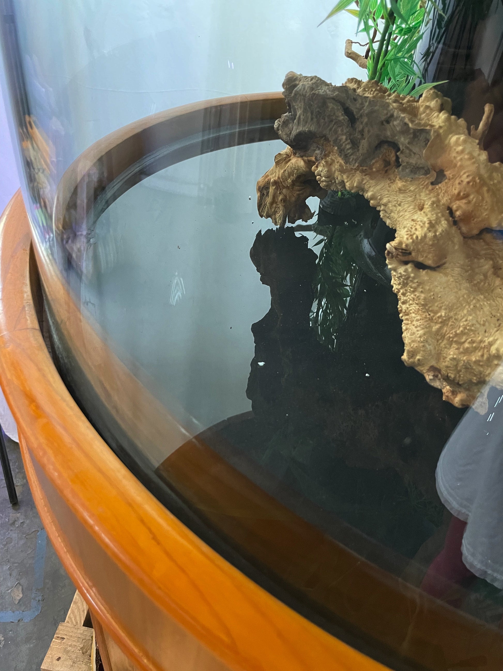 Fish tank with glass cover, rocks, and plants on a wooden surface.