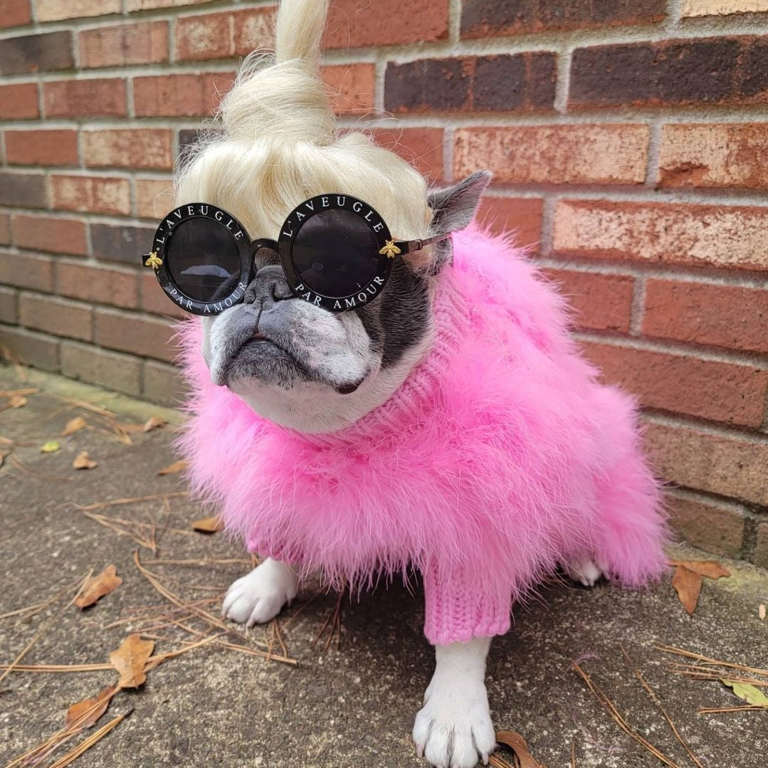 Dog wearing a blonde wig, pink outfit, and sunglasses in front of a brick wall.