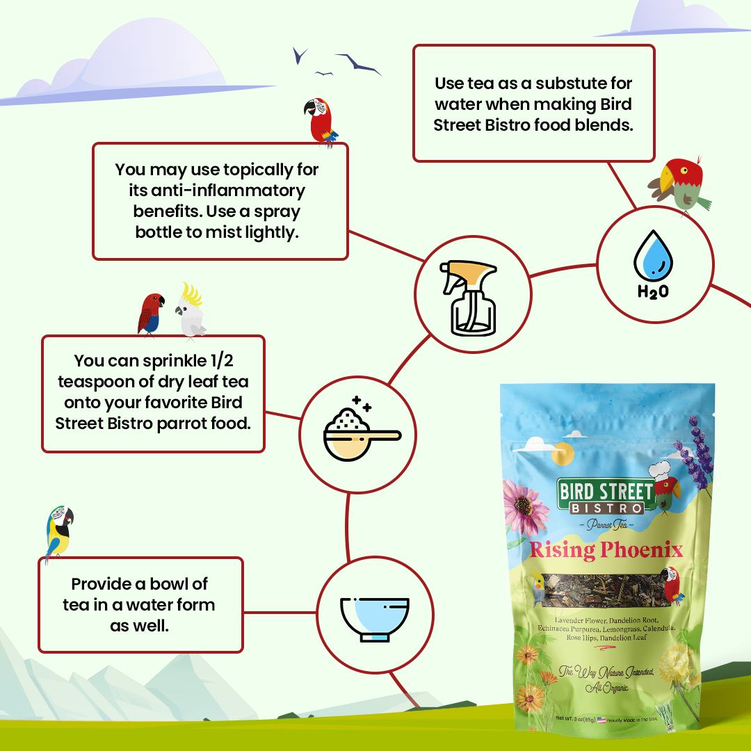 Bird Street Bistro product with usage instructions and a bag of 'Rising Phoenix' food blend.