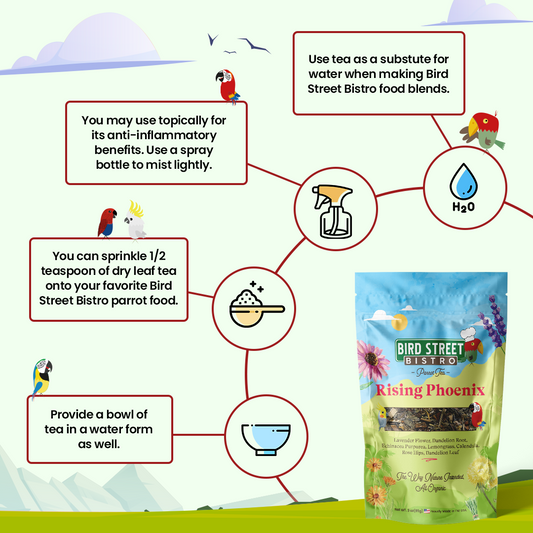 Bird Street Bistro product with usage instructions and a bag of 'Rising Phoenix' food blend.
